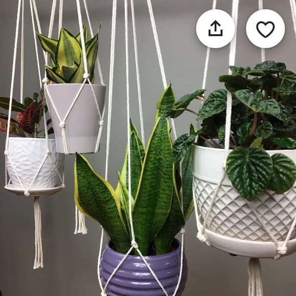Minimalist Macrame Plant Hanger - 54” - Picture 2 of 6